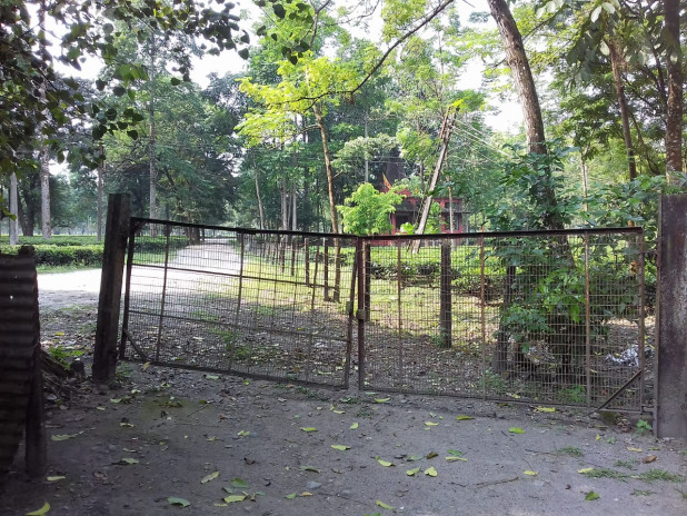 Corona On Tea Workers