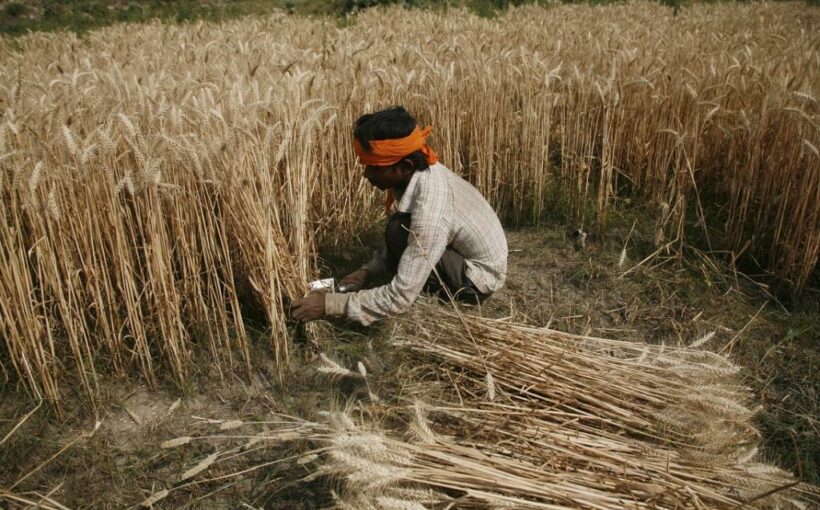 Kishan in India 2024 MAH